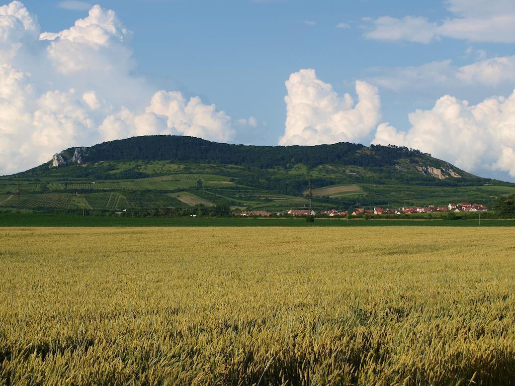 Penzion Kratochvil Dolní Dunajovice 외부 사진