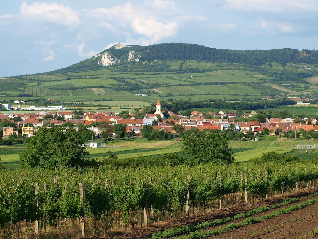 Penzion Kratochvil Dolní Dunajovice 외부 사진